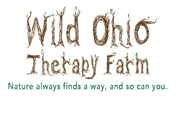 Wild Ohio therapy farm LLC Produly Supports The Carr Center Cake Auction!