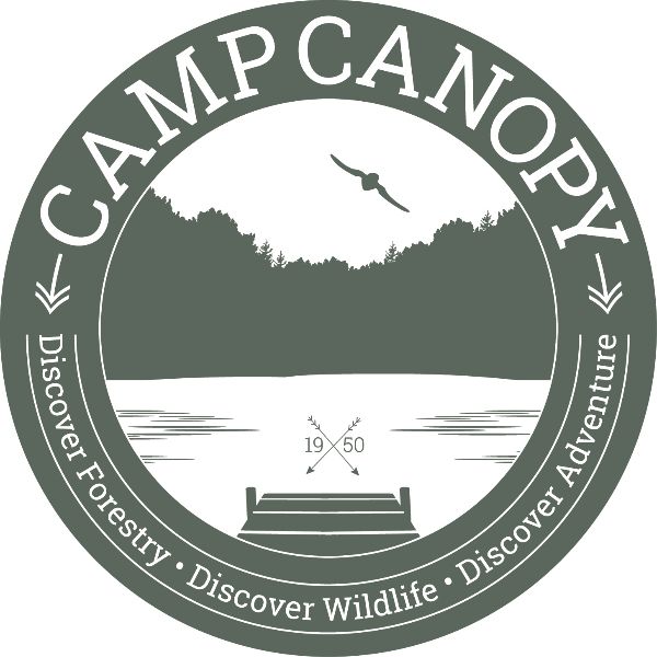 Camp Canopy Produly Supports The Carr Center Cake Auction!
