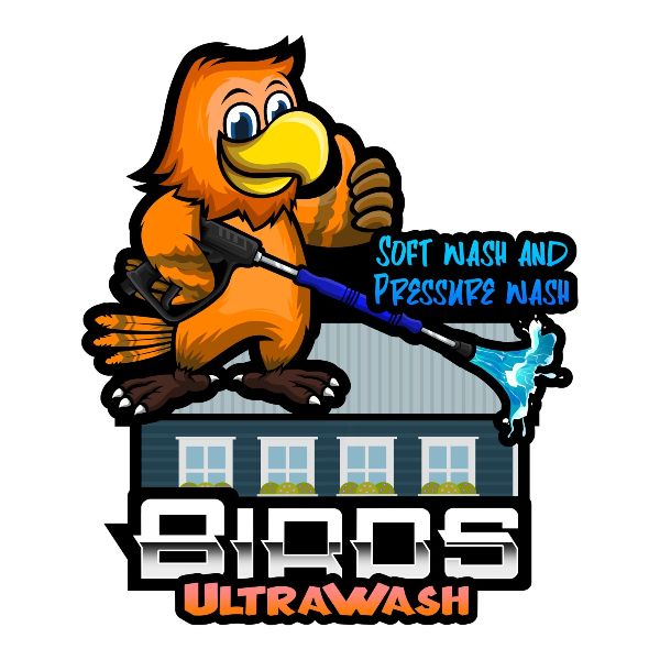 Birds Ultrawash Produly Supports The Carr Center Cake Auction!